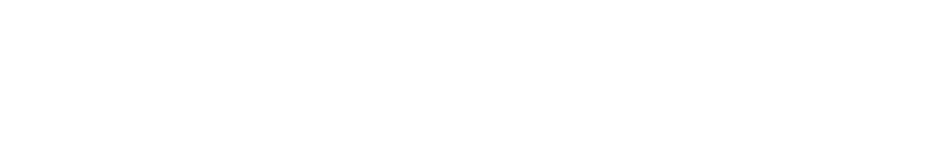 Houston_Wordmark